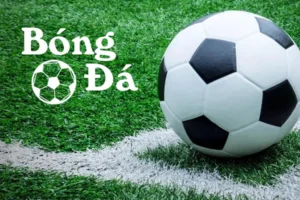 Giải Thích Cụ Thể Bóng Trong Cuộc Và Bóng Ngoài Cuộc Trong Luật Bóng Đá