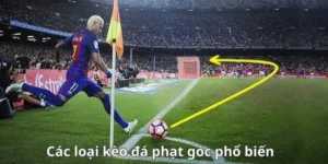 Cách Chơi Kèo Phạt Góc Bóng Đá Hiệu Quả Chuẩn Xác Cho Người Mới
