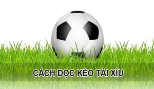 Hướng Dẫn Cách Chơi Kèo Tài Xỉu Hiệp 1 Hiệu Quả Dành Cho Người Mới