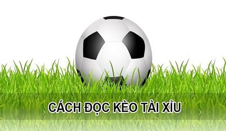 Hướng Dẫn Cách Chơi Kèo Tài Xỉu Hiệp 1 Hiệu Quả Dành Cho Người Mới
