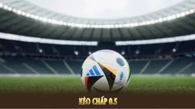 Cách Chơi Kèo Chấp 0.5 Chuẩn Xác Cho Người Mới Muốn Tăng Tỷ Lệ Thắng