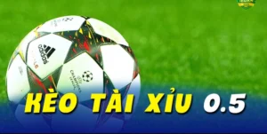 Cách Chơi Kèo Tài Xỉu Chuẩn Xác Và Hiệu Quả Dành Cho Người Mới
