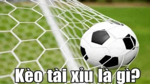 Cách Chơi Kèo Tài Xỉu Bóng Đá Chuẩn Xác Và Hiệu Quả Cho Người Mới