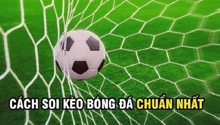 Cách Chơi Kèo Rung Trong Bóng Đá Hiệu Quả Với Phân Tích Tỷ Lệ Thực Tế